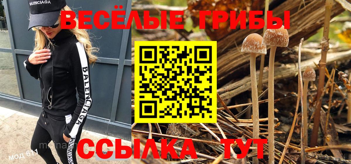 Галлюциногенные грибы Magic Shrooms Острогожск