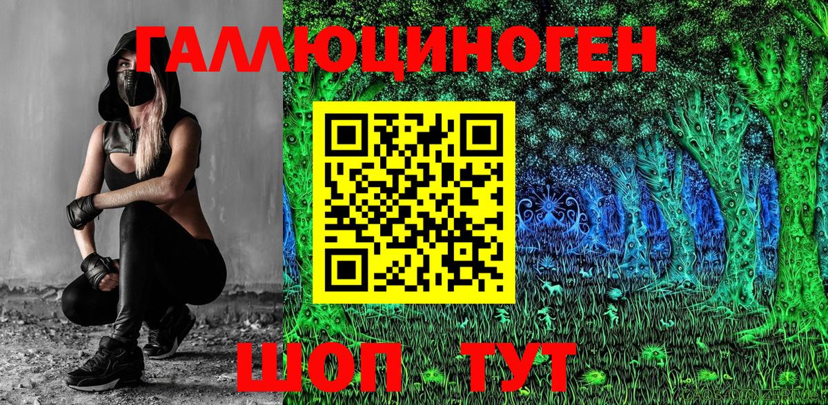 Псилоцибиновые грибы Psilocybine cubensis  Вход с VPN  Острогожск 